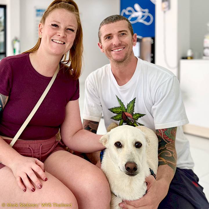 Sam: From Life At A Landfill To The Open Road!