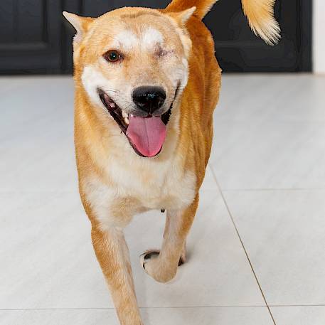 การฟื้นตัวที่ยอดเยี่ยมของ "ไฉไล"!