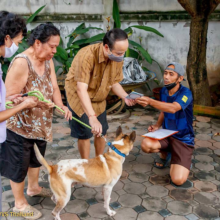 A Journey from Hope to Home