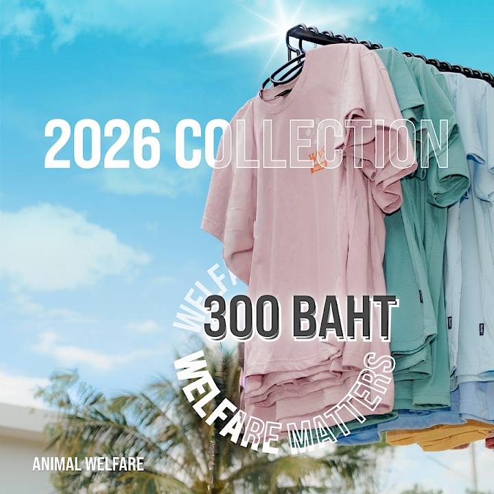WVS Thailand Foundation Limited Collection 2026
