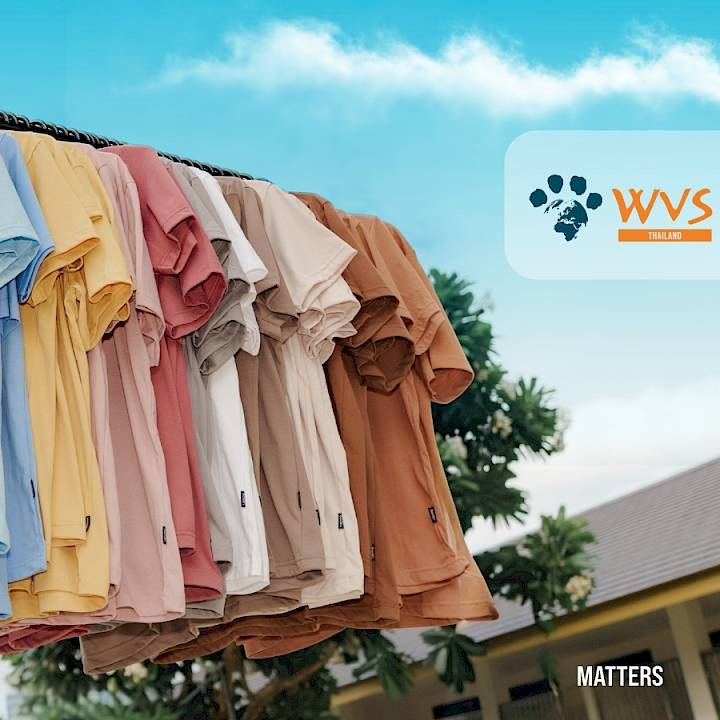 WVS Thailand Foundation Collection 2026