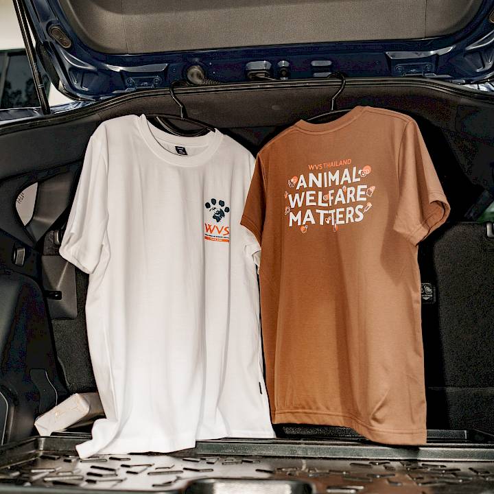 WVS Thailand Foundation Collection 2026