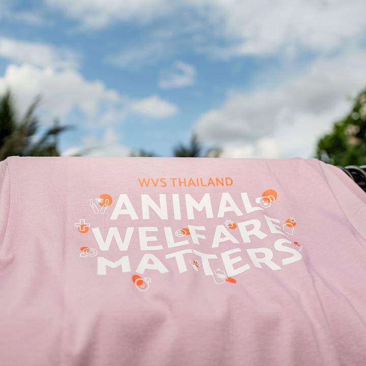 WVS Thailand Foundation Collection 2026
