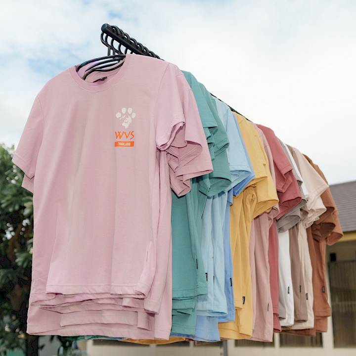 WVS Thailand Foundation Collection 2026