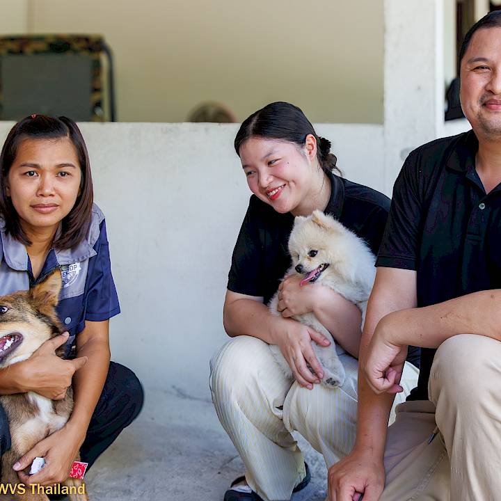 From suffering in the streets to a home with love and treats!