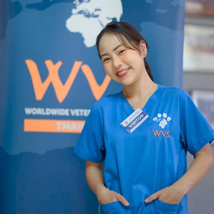 We are committed to promoting animal welfare through the power of education