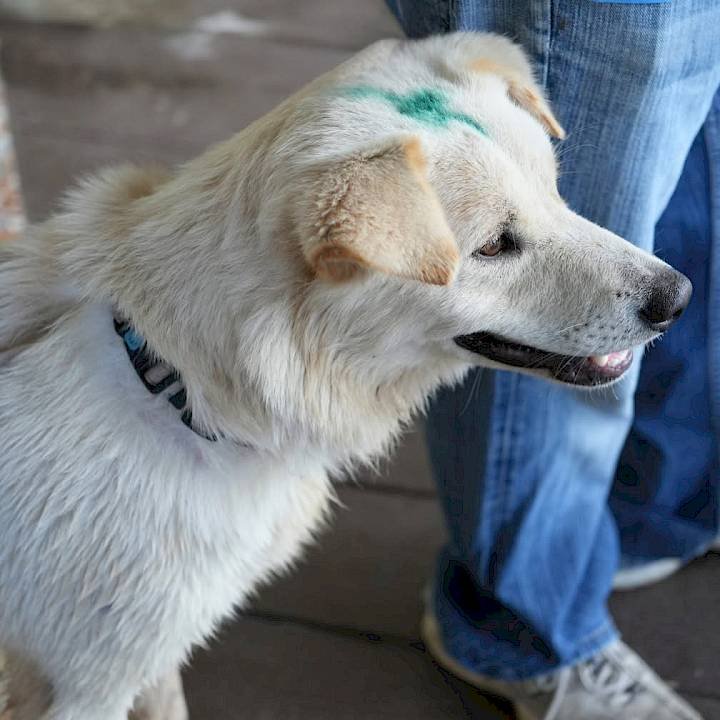 A little mark that makes a difference!