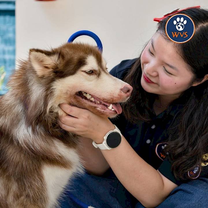 From Tina's arrival for treatment, to a new home