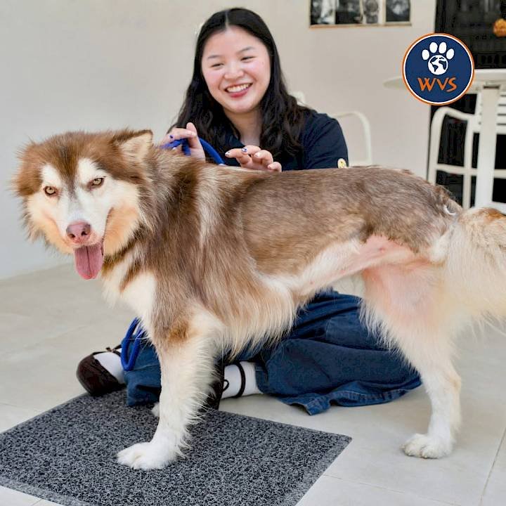 From Tina's arrival for treatment, to a new home