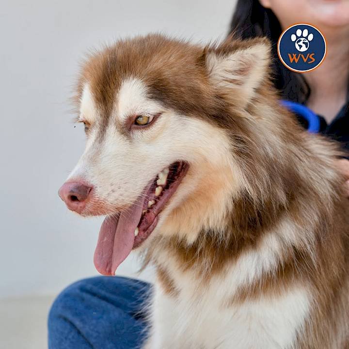 From Tina's arrival for treatment, to a new home