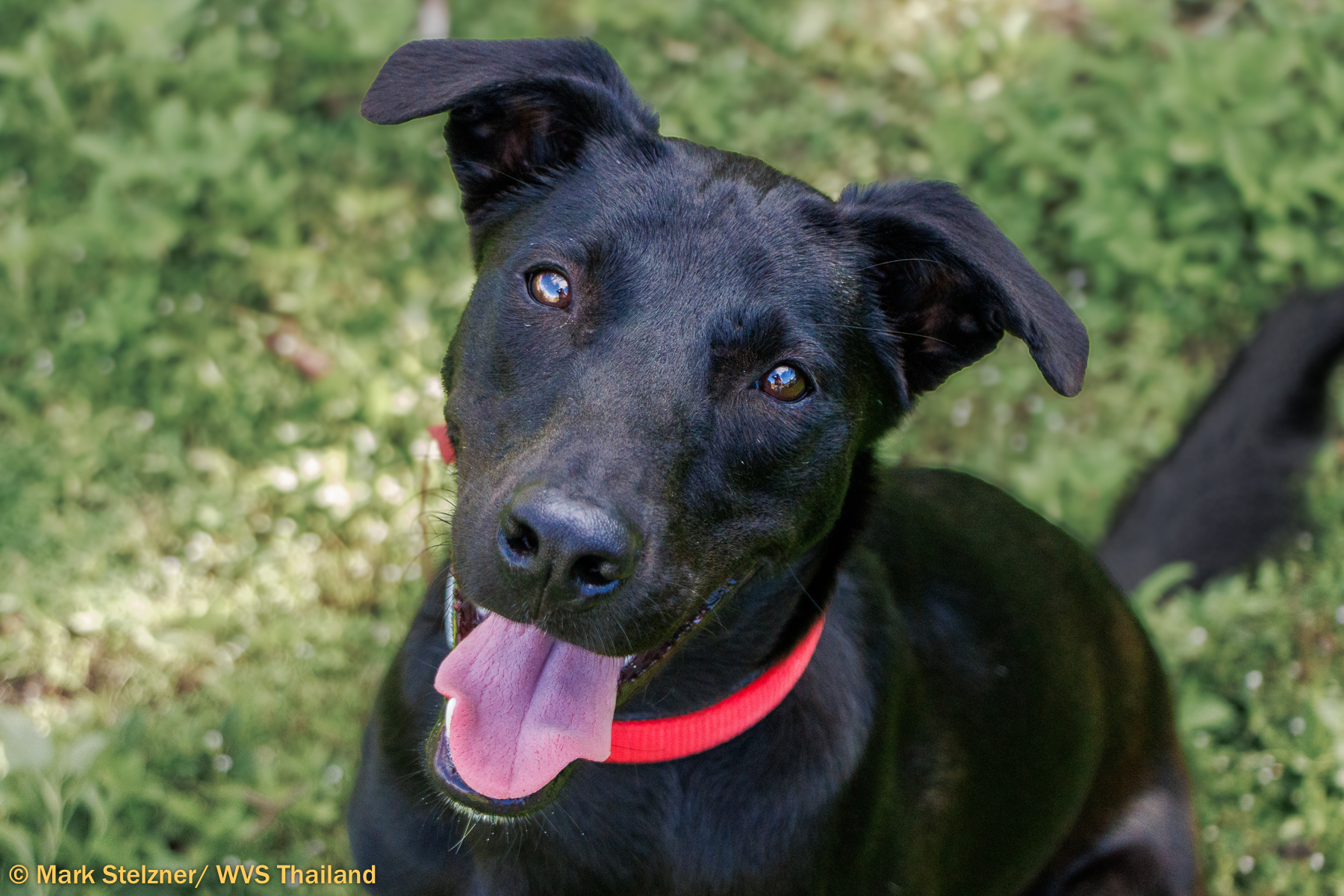 WVS placeholder image