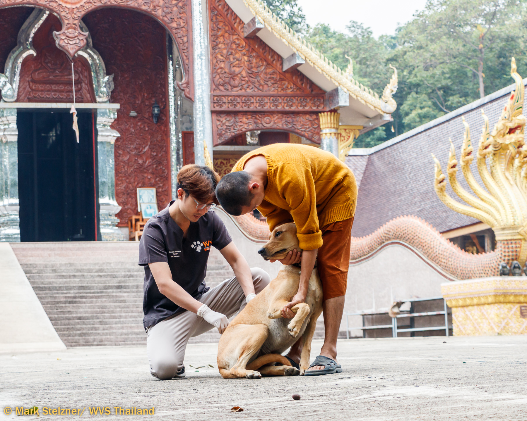 Disease Prevention and Control