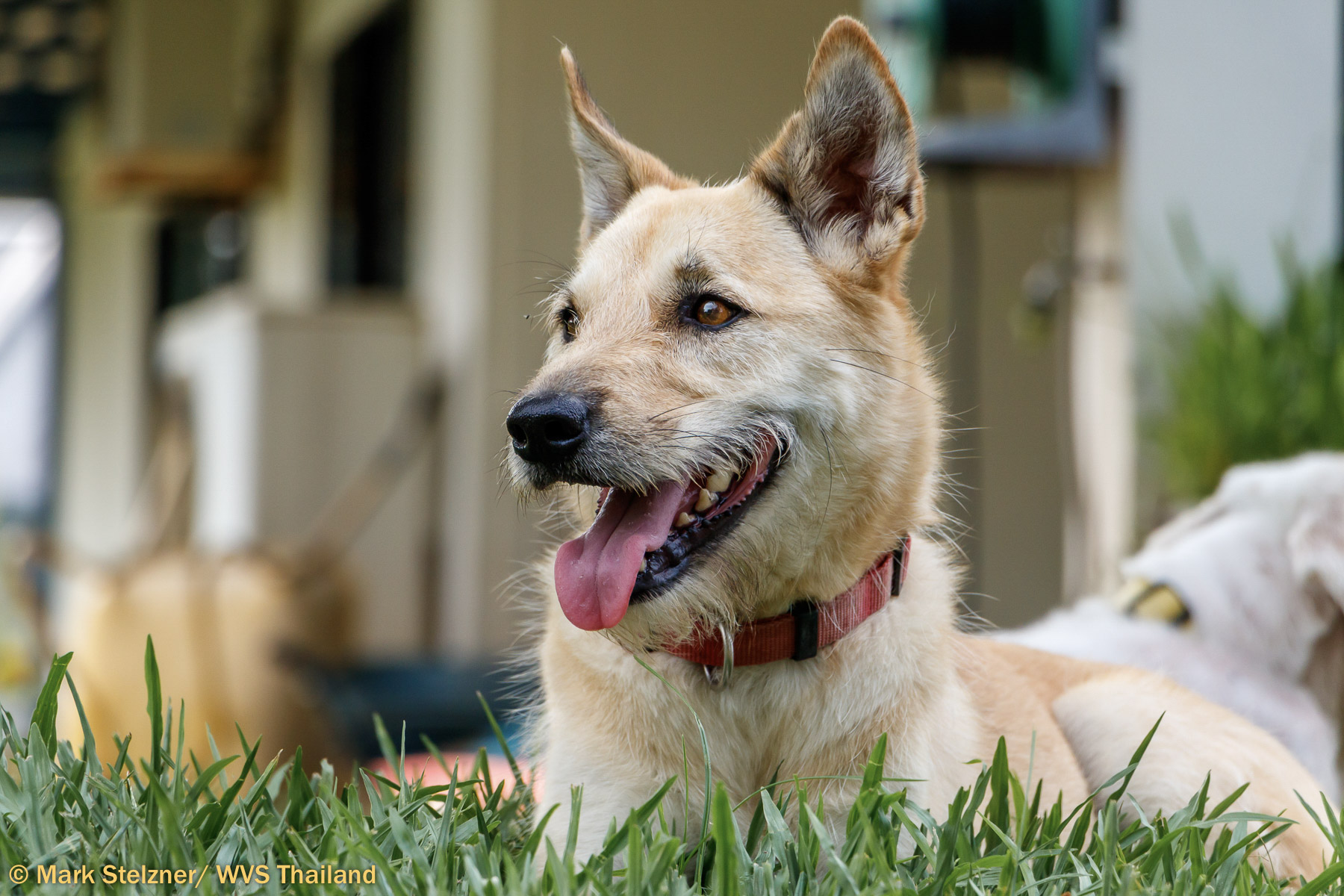 Harmonious coexistence