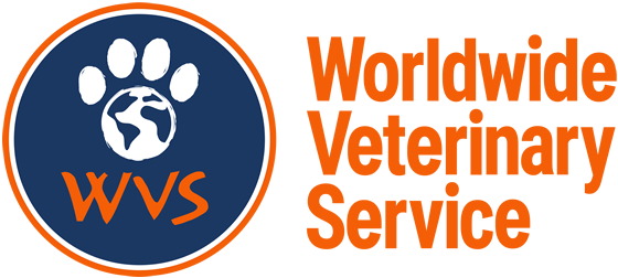 WVS Thailand logo