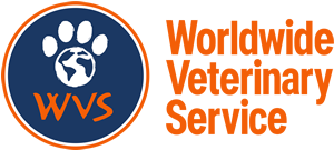 WVS Thailand logo